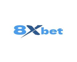 Ô tô & Xe Máy & Xe Đạp 